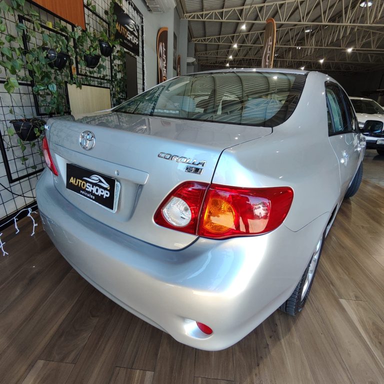 WhatsApp Image 2026-01-08 at 08.10.09