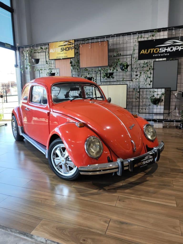 WhatsApp Image 2026-04-13 at 17.26.11 (1)