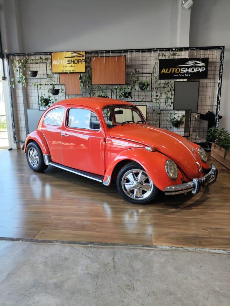 WhatsApp Image 2026-04-13 at 17.26.11