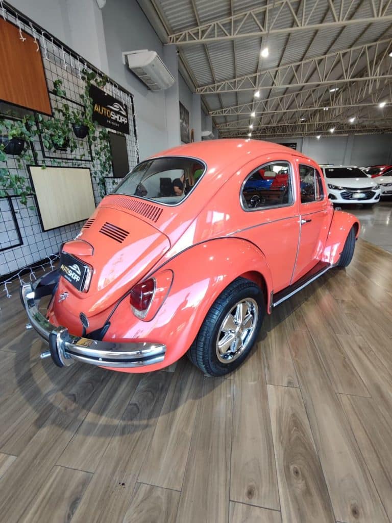 WhatsApp Image 2026-04-13 at 17.26.12 (1)