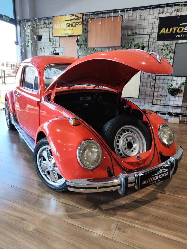 WhatsApp Image 2026-04-13 at 17.26.14