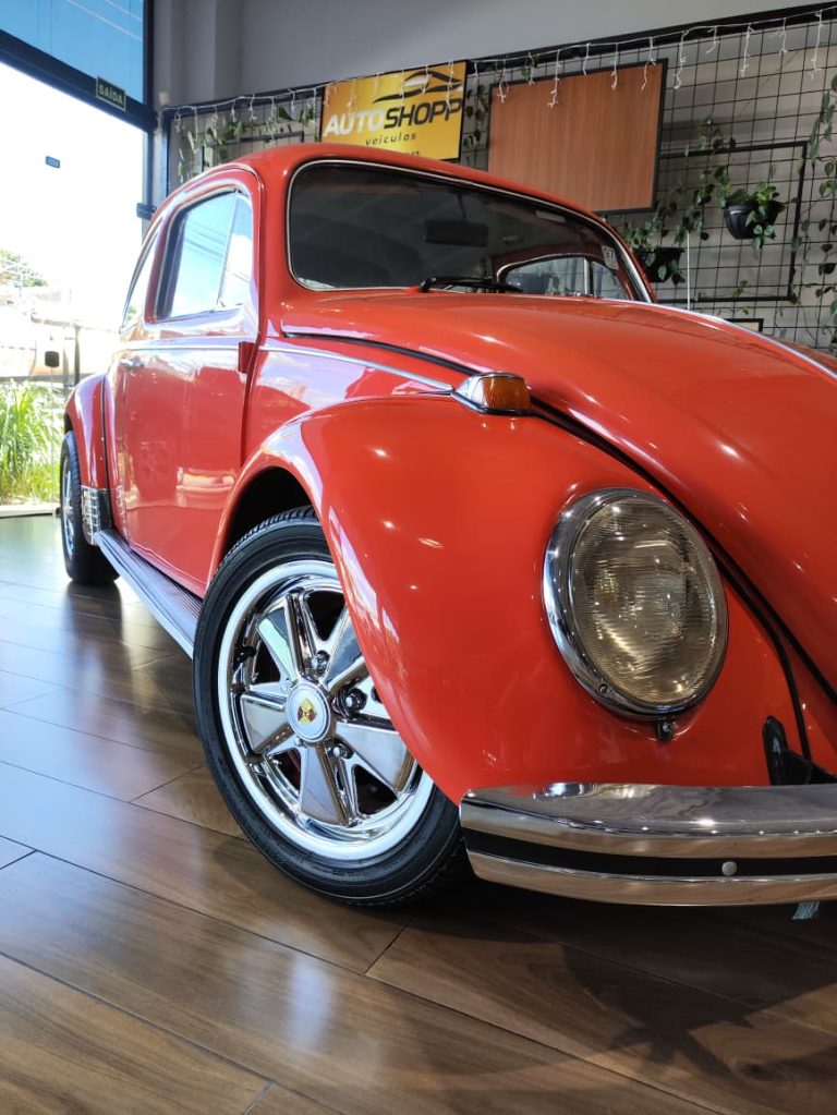 WhatsApp Image 2026-04-13 at 17.26.16 (1)