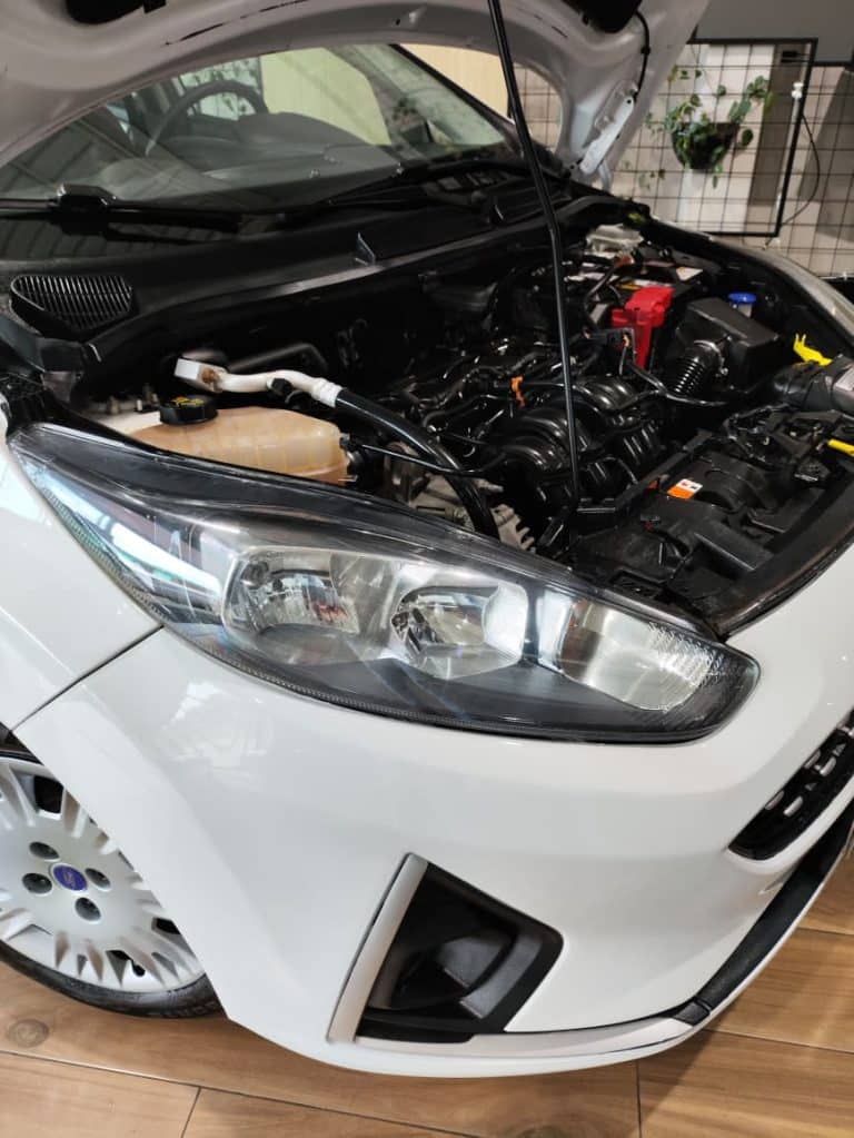 ford Fiesta 2019 (4)