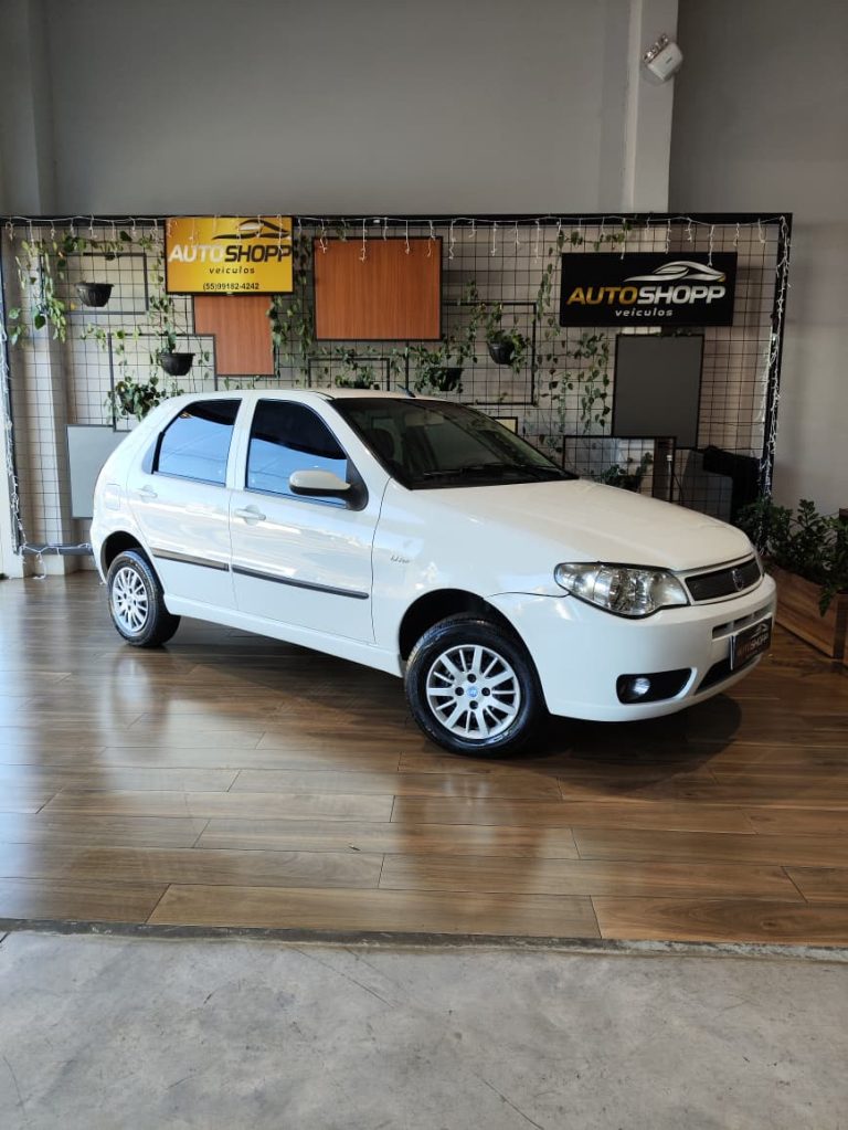 fiat palio elx (1)