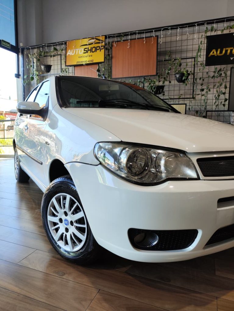 fiat palio elx (3)